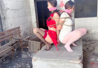 【媚娘工作室】书瑶安沐无人区放置