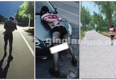 【一颗露露子】户外捆绑篇15 全裸捆绑穿戴飞机杯马路中央榨精 郊狼肛钩折磨刺激 户外极限驷马逛街从晚上到天亮