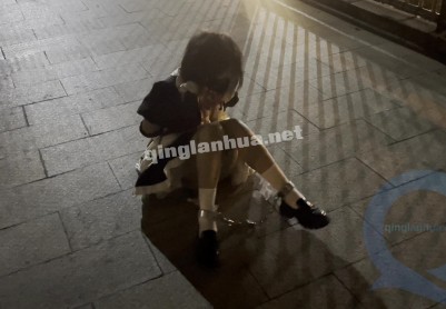 【桃花岛】【小叶（猫又）女仆户外捆绑游行日记】