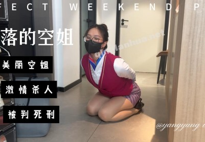 【zhangyang】陷落的空姐