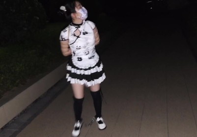 【苏苏】小厨娘苏苏丸子头女仆黑丝尾巴小区行走五花大绑戴脚镣踢足球+拴在树下td折磨