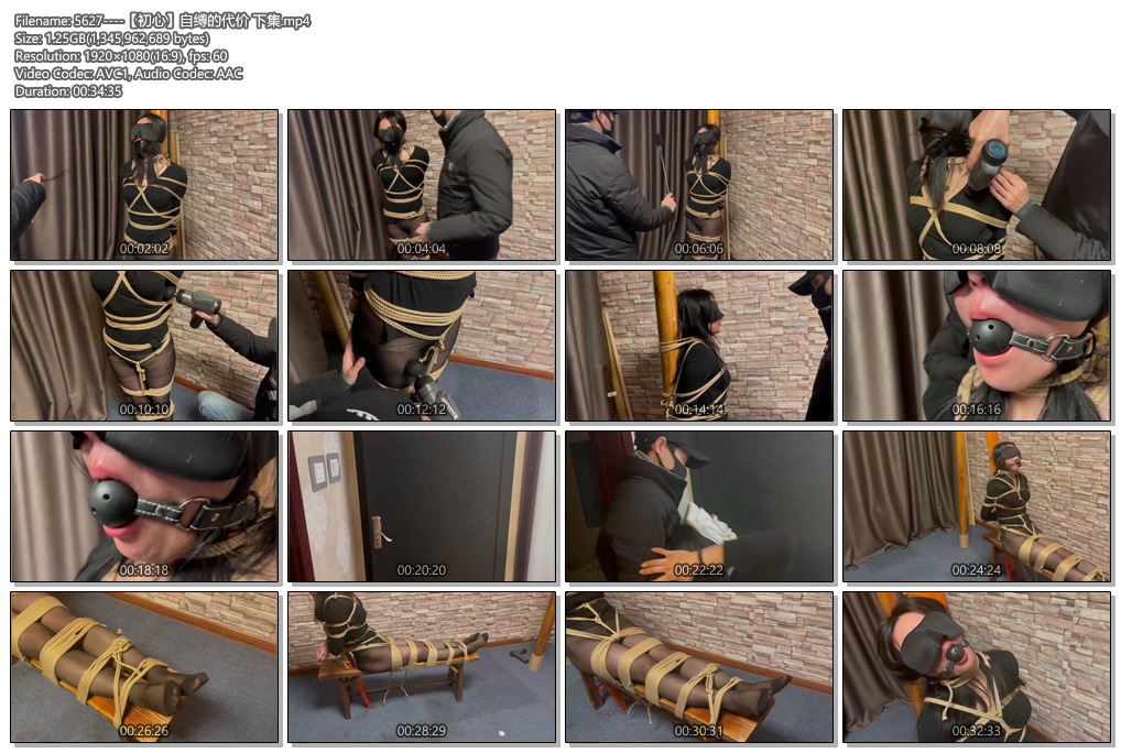 5627----【初心】自缚的代价 下集.jpg