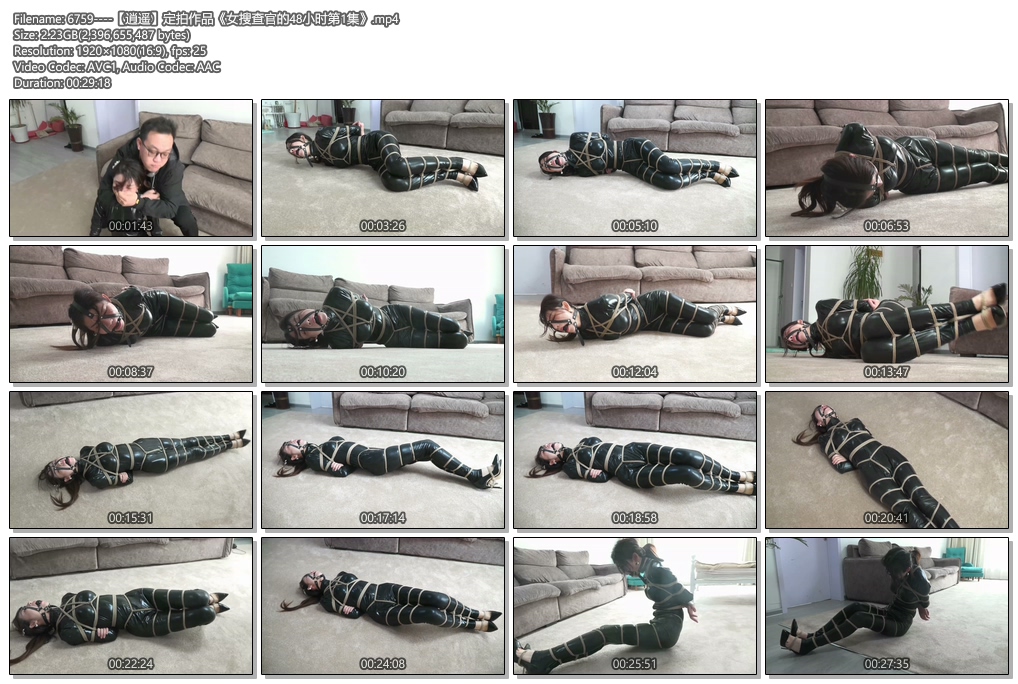 6759----【逍遥】定拍作品《女搜查官的48小时第1集》.jpg