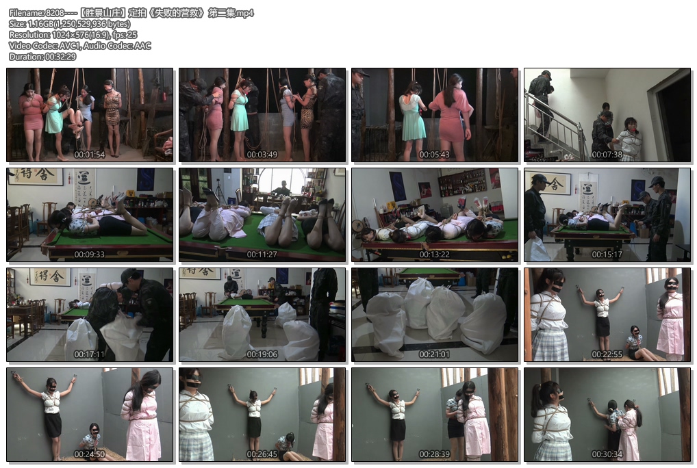 8208----【胜景山庄】定拍《失败的营救》 第二集.jpg