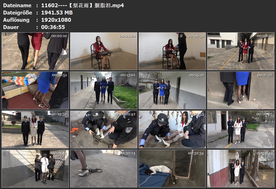 11602----【梨花雨】胭脂泪.jpg