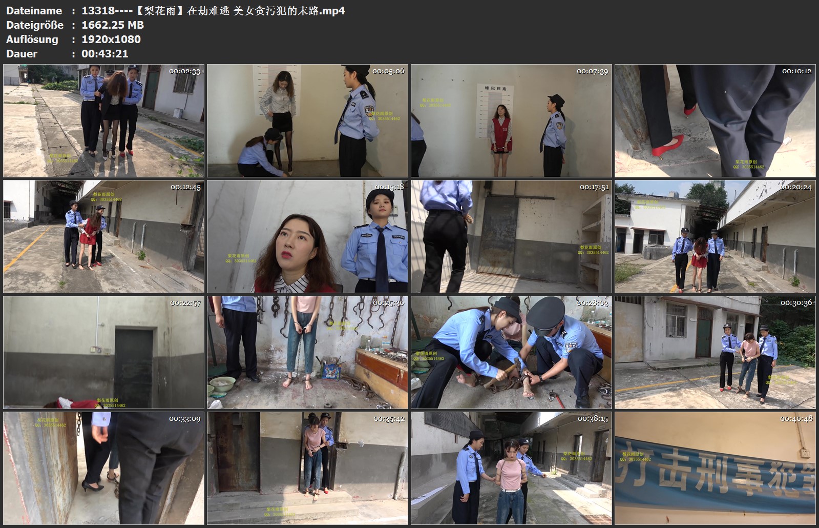13318----【梨花雨】在劫难逃 美女贪污犯的末路.jpg