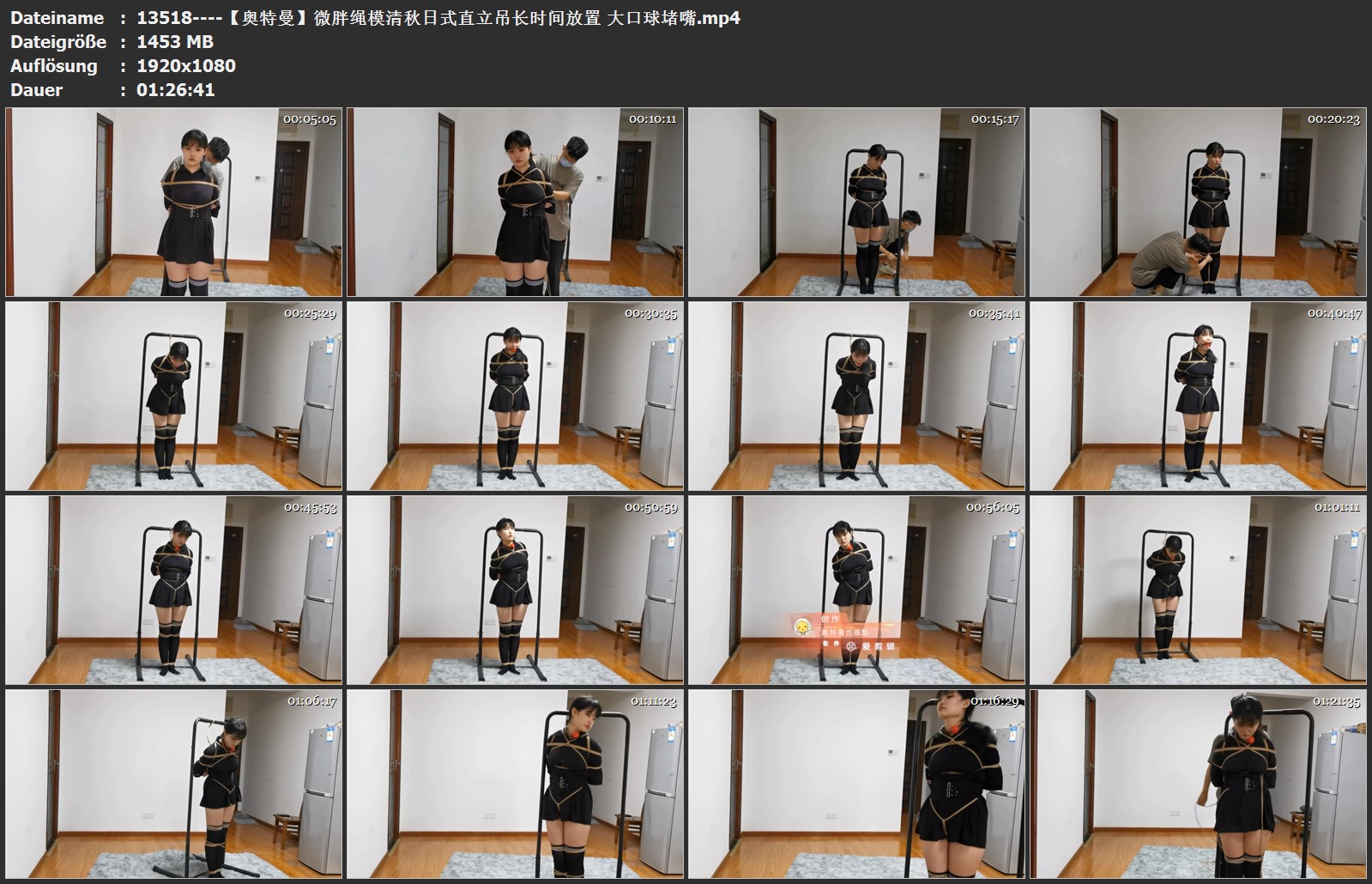 13518----【奥特曼】微胖绳模清秋日式直立吊长时间放置 大口球堵嘴.jpg