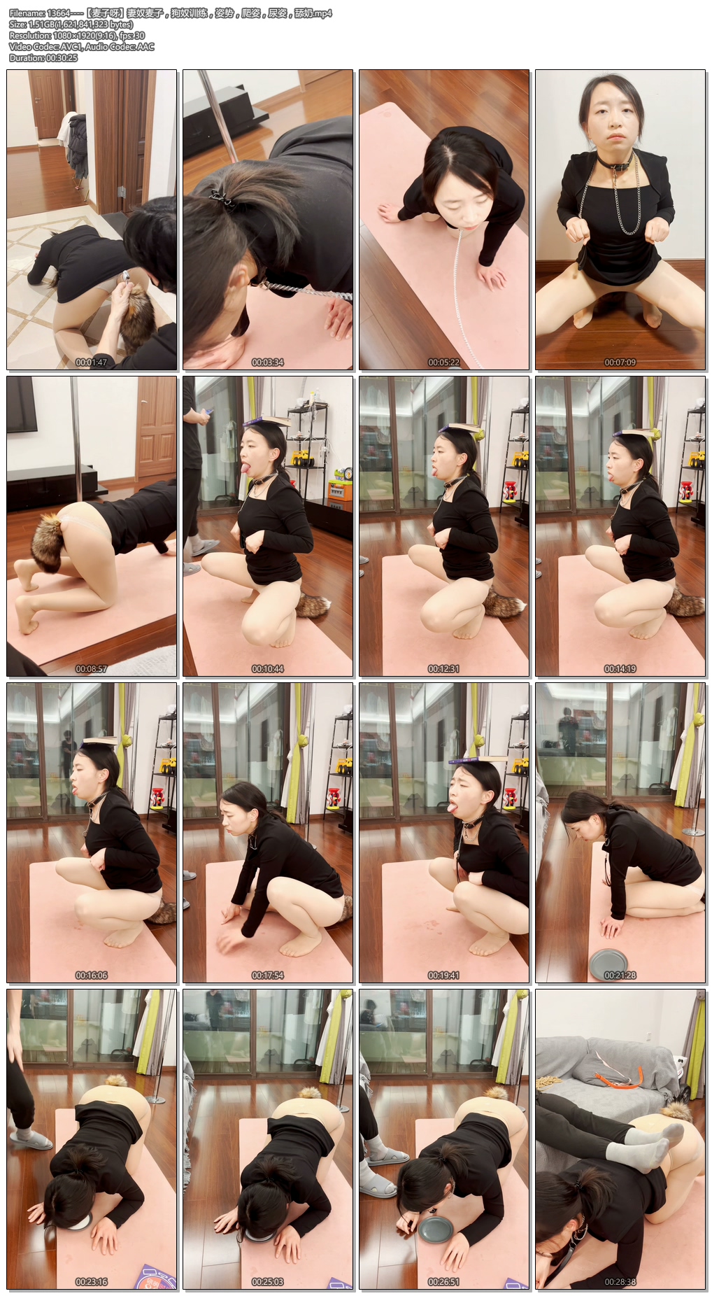 13664----【麦子呀】妻奴麦子，狗奴训练，姿势，爬姿，尿姿，舔奶.jpg