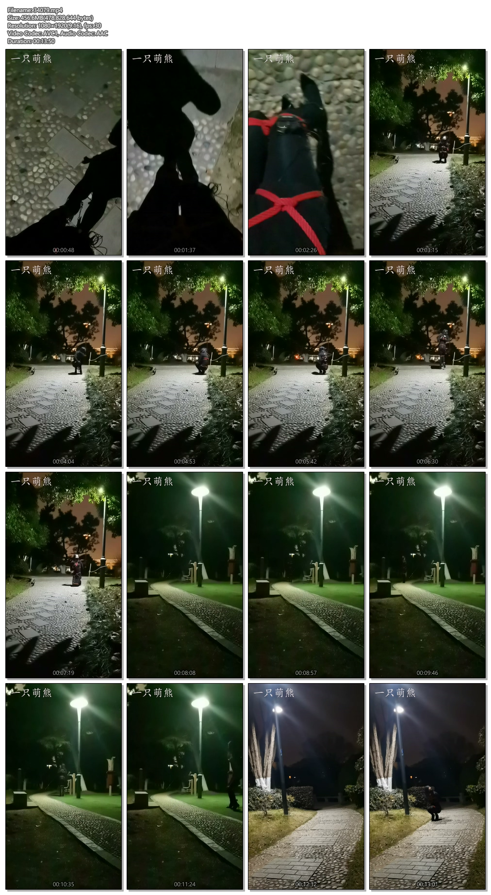 34079----【一只萌熊】小公园外出自缚.jpg