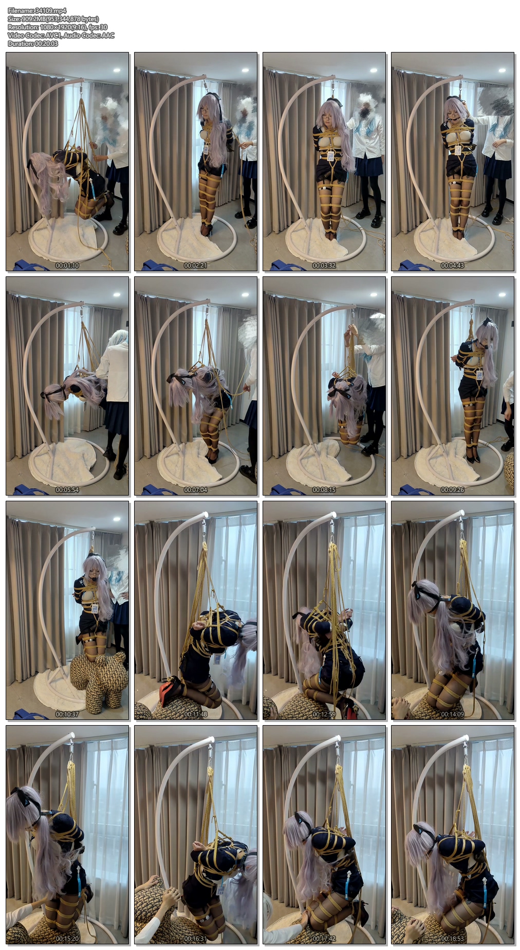 34109----【鸽】被吊缚的布洛尼亚.jpg