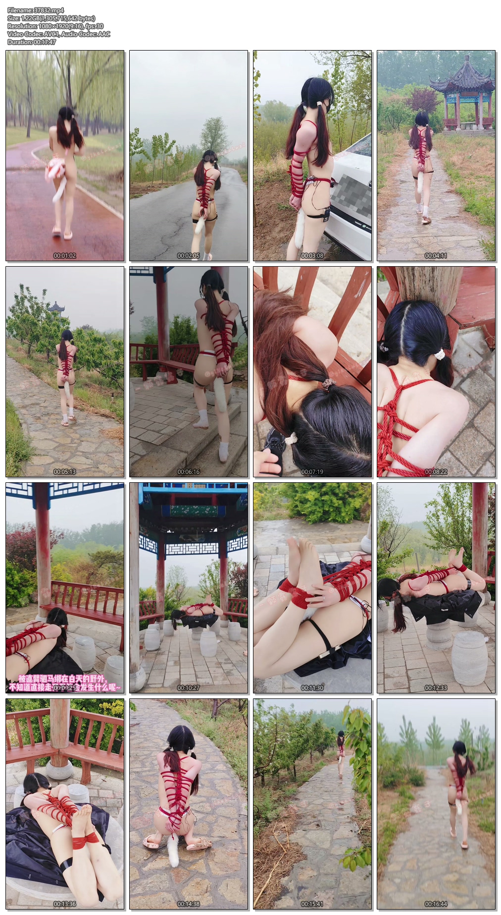 37832----【一颗露露子】户外捆绑篇7 双马尾露露白日公园全裸，肛S尾巴户外红绳直臂捆.jpg