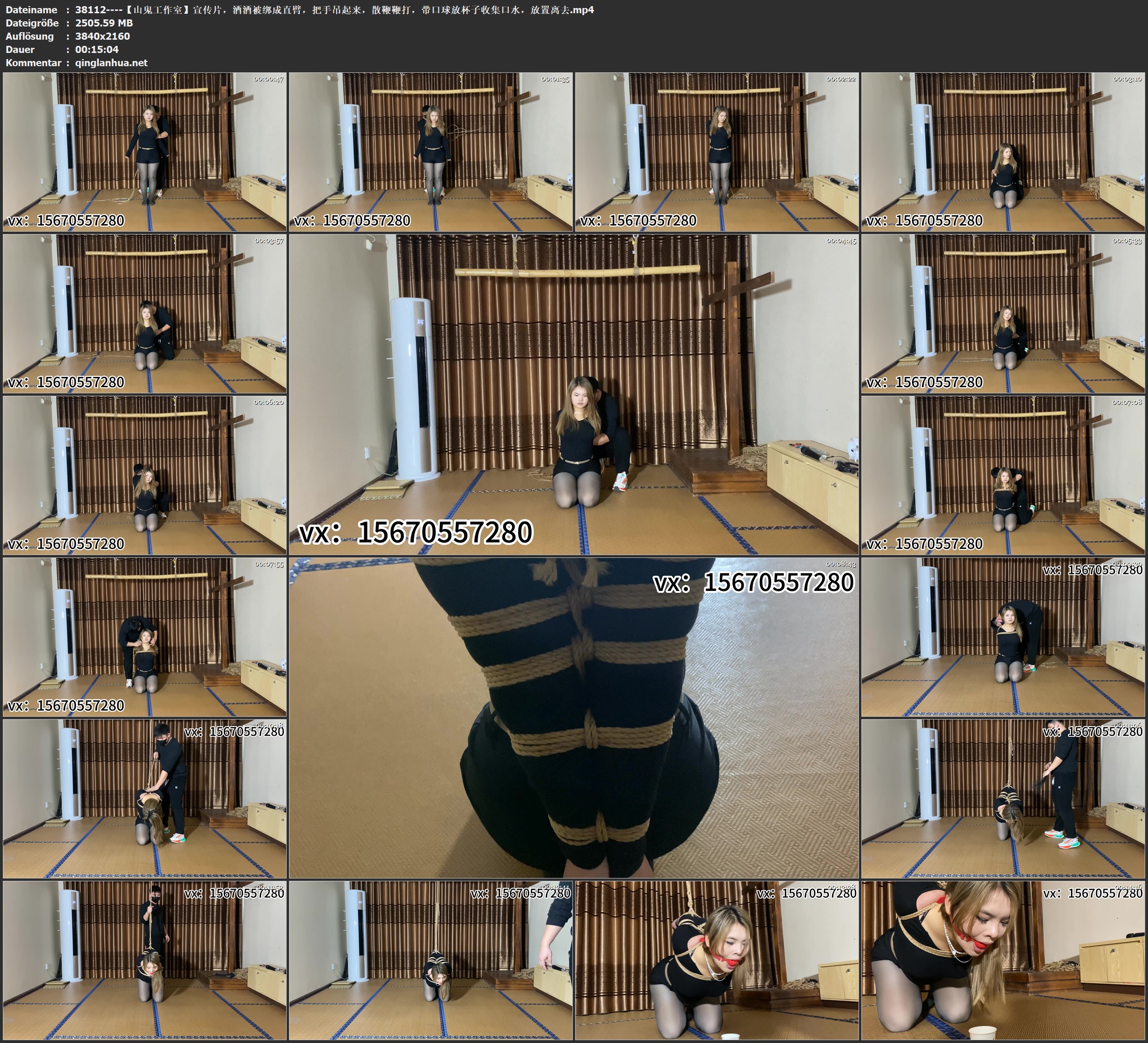 38112----【山鬼工作室】宣传片，酒酒被绑成直臂，把手吊起来，散鞭鞭打，带口球放杯.jpg
