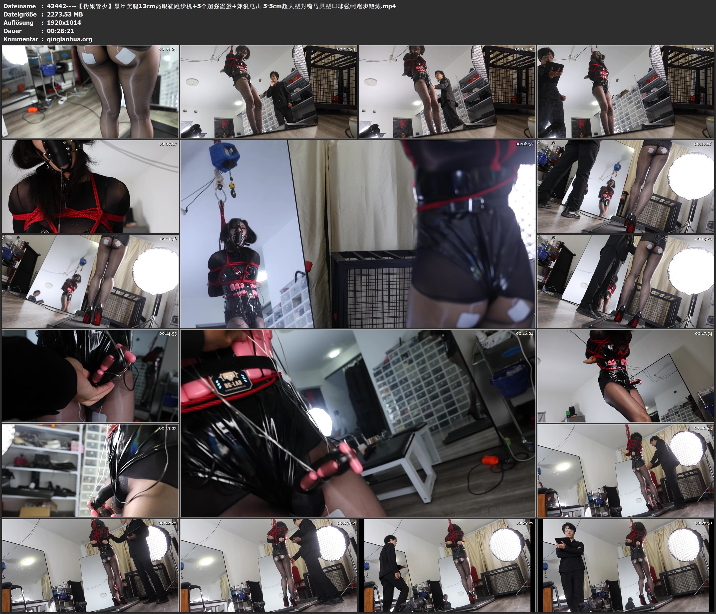 43442----【伪娘管少】黑丝美腿13cm高跟鞋跑步机 5个超强震蛋 郊狼电击 5·5cm超大型.jpg