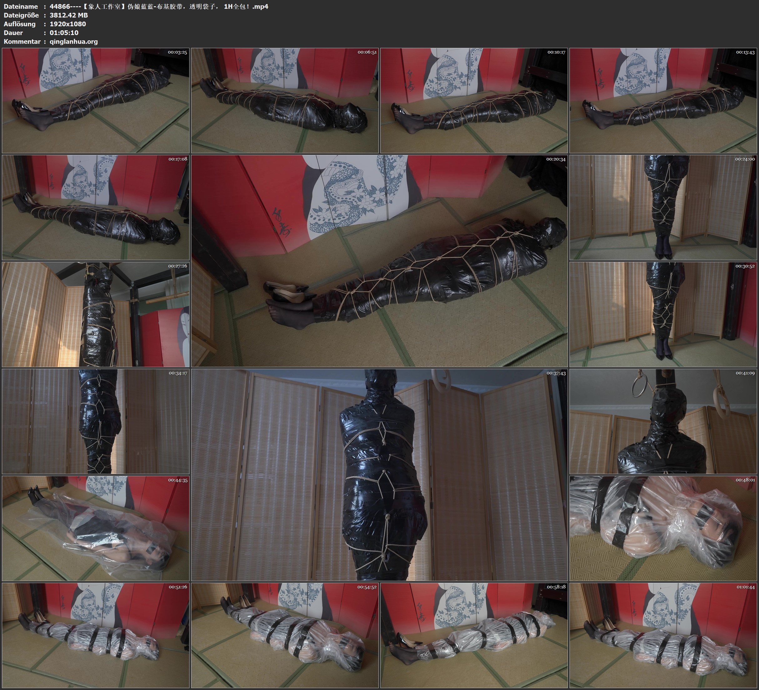 44866----【象人工作室】伪娘蓝蓝-布基胶带，透明袋子， 1H全包！.jpg