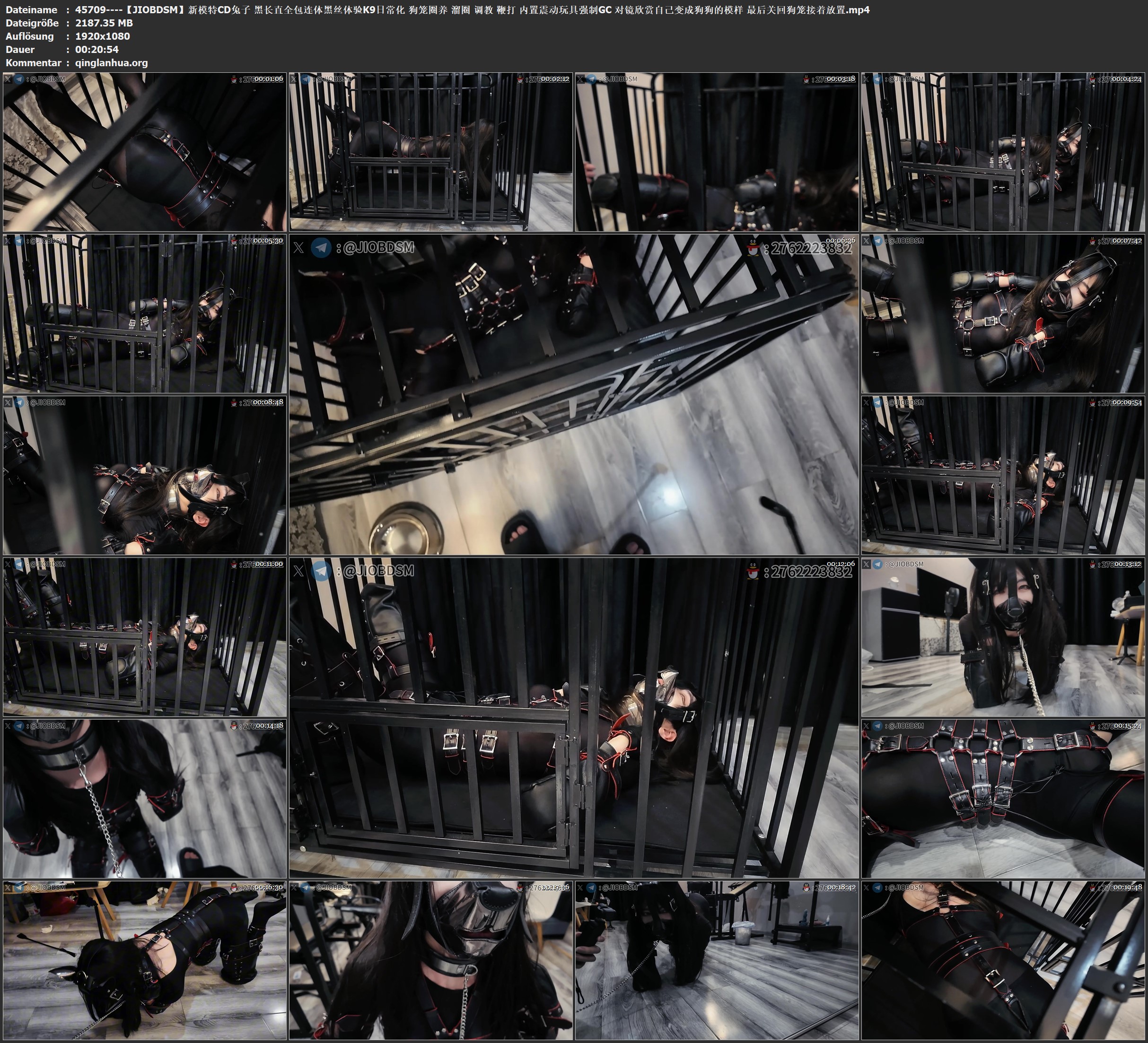 45709----【JIOBDSM】新模特CD兔子 黑长直全包连体黑丝体验K9日常化 狗笼圈养 溜圈 调.jpg