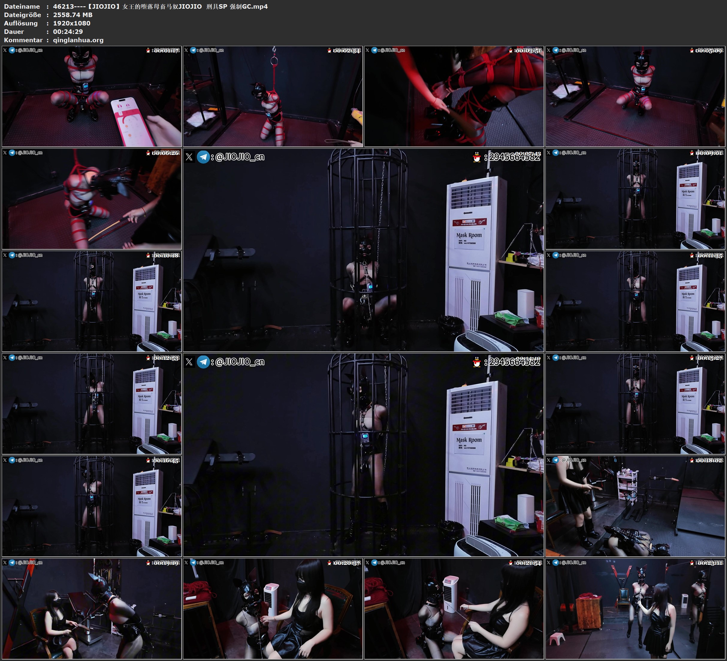 46213----【JIOJIO】女王的堕落母畜马奴JIOJIO  刑具SP 强制GC.jpg