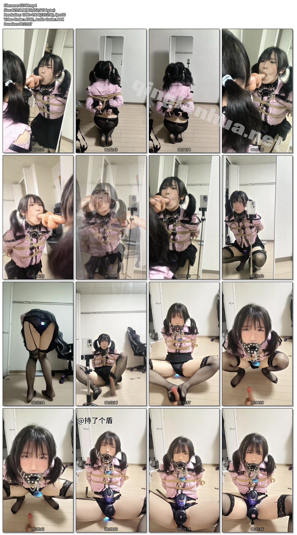 53748----【持了个盾】双马尾男娘雌堕训练沦为淫荡母狗.jpg