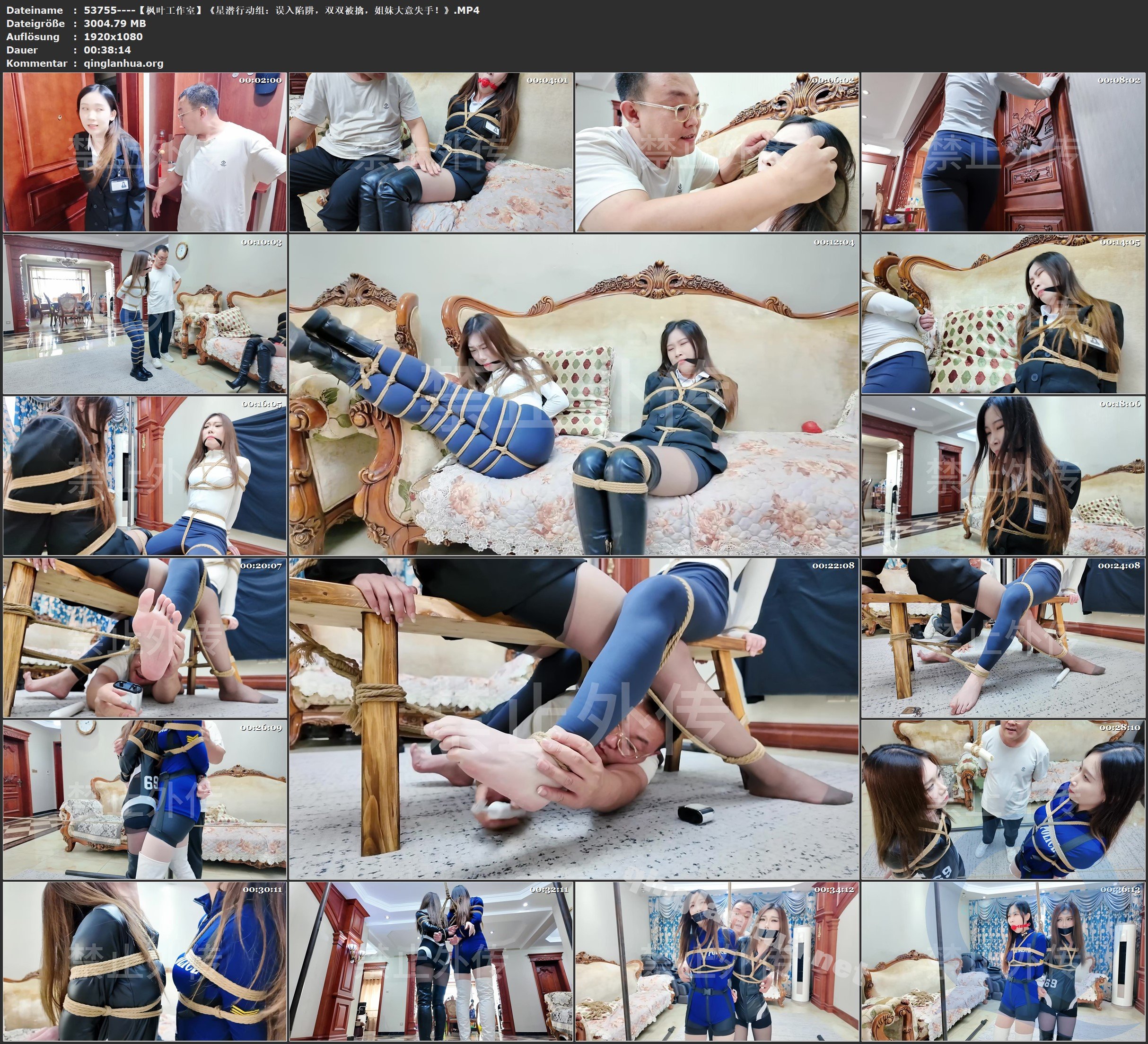 53755----【枫叶工作室】《星潜行动组：误入陷阱，双双被擒，姐妹大意失手！》.jpg