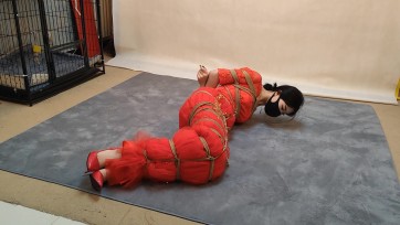 【束缘阁】红色的新娘 悬吊