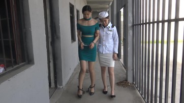 【梨花雨】坠落玫瑰