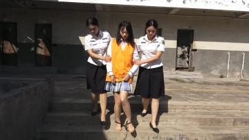 【梨花雨】秋寒蝉无声