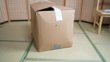 【象人工作室】【嗷嗷】纸箱挣扎（2）