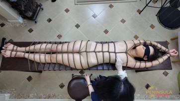 【半岛束艺台】【绿鳄】强势剥夺