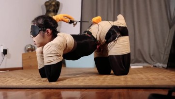 【路由紧缚】新模小月郊狼电控犬缚 黑科技升级