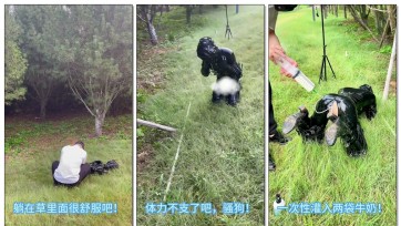 【糖糖工作室】《女体化改造第三番》伪娘改造之户外K9+遛狗+牛奶灌肠喷射路人围观慌乱逃跑