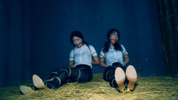 【胜景影视】《双花卧底》第二集 两美女秘书在押往总部时候路上逃跑可惜又被抓回来